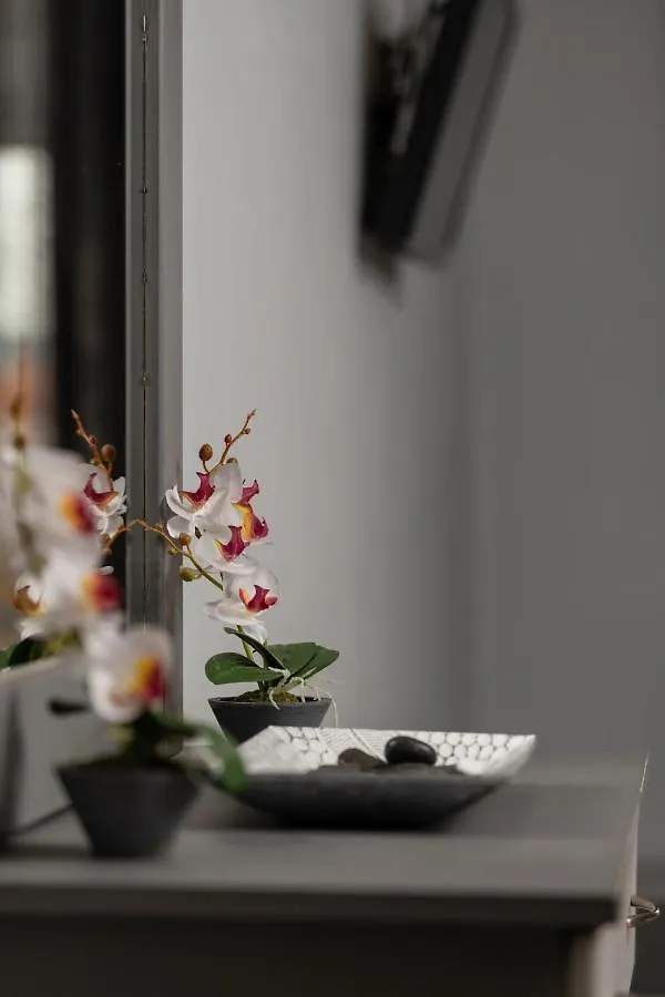 House Toula Elegant Apartment Sarti 0*,