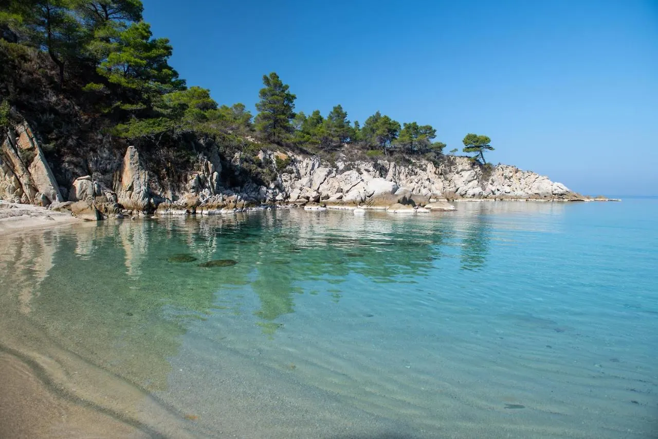 House Toula Elegant Apartment Sarti 0*,  Greece