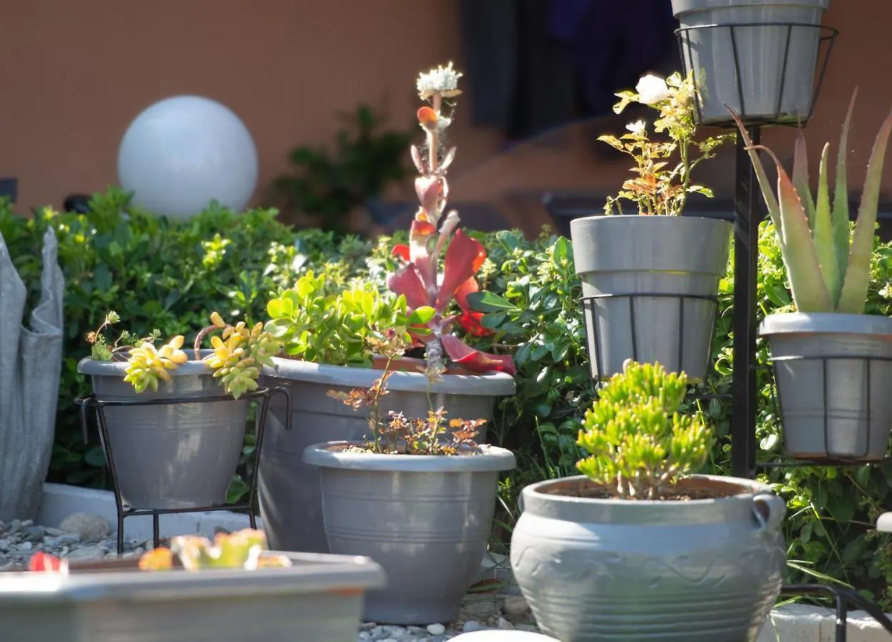House Toula Elegant Apartment Sarti 0*,  Greece