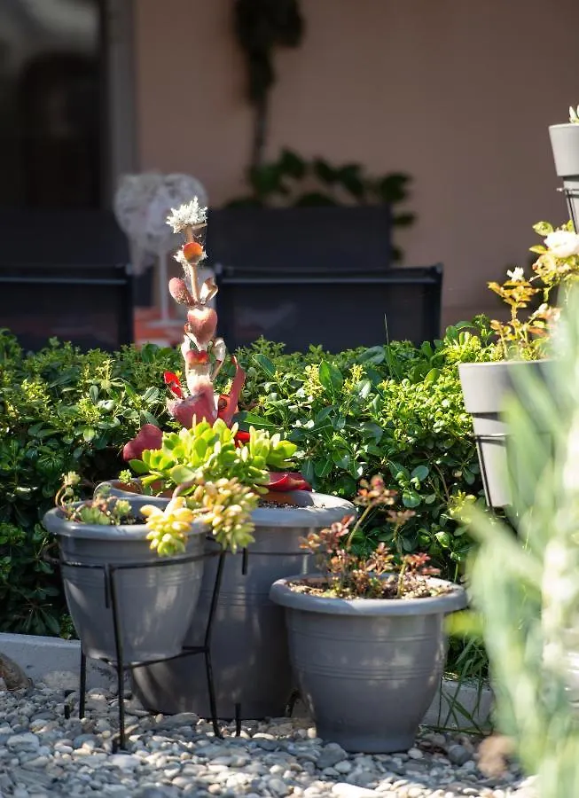 House Toula Elegant Apartment Sarti